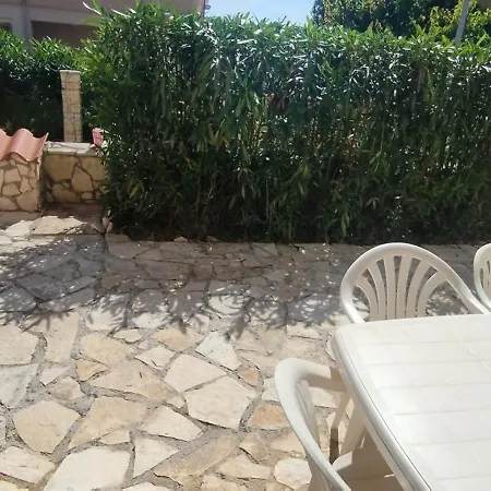 Zoe 1 ميدولين